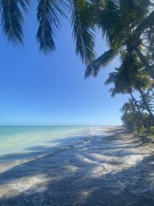 IMG_7469_Easy-Resize.com